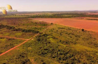 Fazenda à venda, 30000000 m² por r$ 80.000.000,00 - zona rural - vila rica/mt