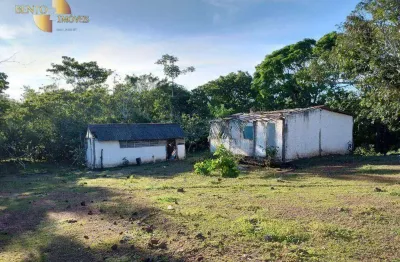 Fazenda à venda, 160 hectares por r$ 1.120.000 - zona rural - várzea grande/mt