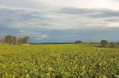 Fazenda à venda, 3300 hectares por r$ 198.000.000 - rural - santa rita do trivelato/mt