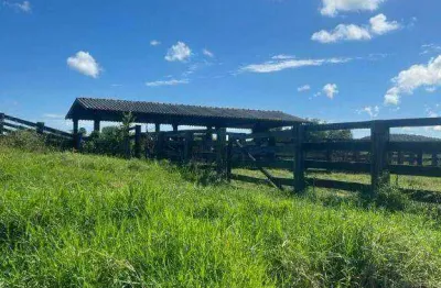 Fazenda à venda, 1000 hectares por r$ 14.000.000 - zona rural - nova brasilândia/mt