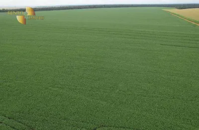 Fazenda à venda, 1550 hectares por r$ 104.500.000 - zona rural - vera/mt