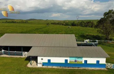 Fazenda com infraestrutura pronta. à venda, 876 hectares por r$ 20.000.000 - zona rural - jacundá/pa