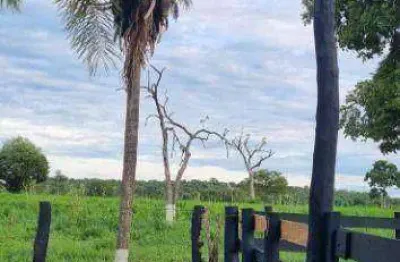 Fazenda à venda, 1800 hectares por r$ 21.600.000 - zona rural - barão de melgaço/mt