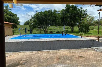 Fazenda com infraestrutura pronta, à venda, 242 hectares por r$ 6.000.000 - zona rural - torixoréu/mt