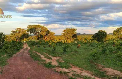 Fazenda focada em melhoramento animal, à venda, 784,8 hectares por r$ 16.200.000 - zona rural - torixoréu/mt