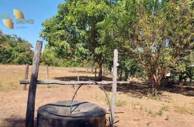 Fazenda focada em melhoramento animal, à venda, 65 hectares por r$ 650.000 - zona rural - nobres/mt