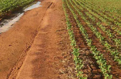 Fazenda à venda, 2120 hectares por r$ 10.494.000 - zona rural - rondonópolis/mt