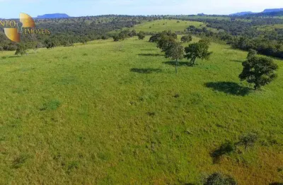 Fazenda à venda, 1500 hectares por r$ 23.000.000 - zona rural - pedra preta/mt