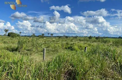 Fazenda à venda, 3200 hectares por r$ 160.000.000 - zona rural - alta floresta/mt