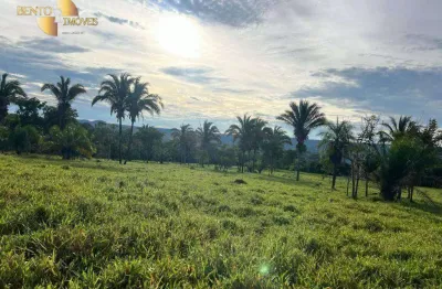 Fazenda à venda, 170 hectares por r$ 3.600.000 - zona rural - cuiabá/mt