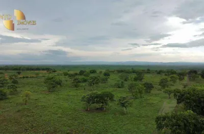 Fazenda ideal para agricultura e pecuária, à venda, 845 hectares por r$ 24.000.000 - zona rural - cuiabá/mt