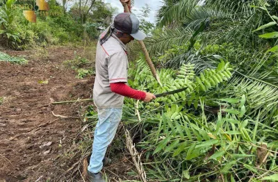 Fazenda à venda, 4123 hectares por r$ 41.230.000 - zona rural - cuiabá/mt