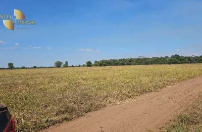 Manejo ecológico para criação, à venda, 1270 hectares por r$ 28.000.000