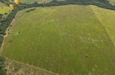 Fazenda com gestão eficiente do rebanho, à venda, 240 hectares por r$ 6.000.000 - zona rural - dom aquino/mt
