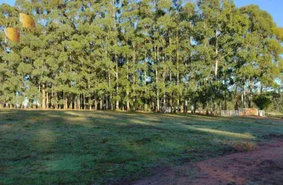 Fazenda à venda, 875 hectares por r$ 35.000.000 - centro - pedras altas/rio grande do sul