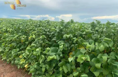 Fazenda à venda por r$ 1.430.000.000,00 - zona rural - rondonópolis/mt