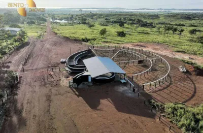 Fazenda com estrutura completa para criação. à venda, 968 hectares por r$ 50.000.000 - nova santa helena/mt