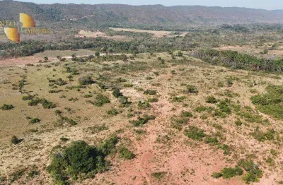 Fazenda à venda, 600 hectares por r$ 11.000.000 - zona rural - nova mutum/mt