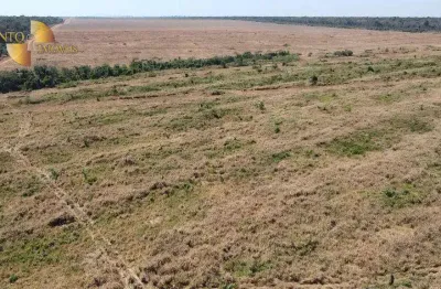 Fazenda com tradição em qualidade, à venda, 980 hectares por r$ 99.000 - zona rural - nova maringá/mt