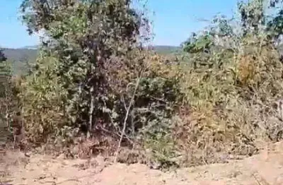 Fazenda à venda, 2400 hectares por r$ 15.000.000 - zona rural - jaciara/mt