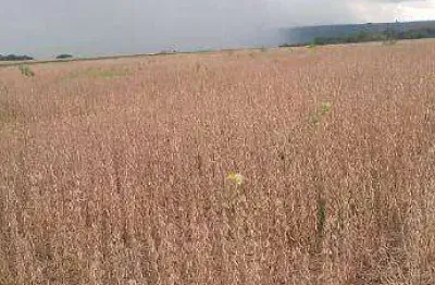 Fazenda à venda, 212 hectares por r$ 10.494.000 - zona rural - rondonópolis/mt