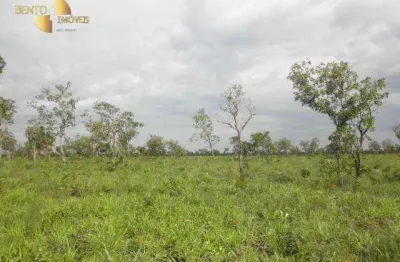 Fazenda à venda, 5000 hectares por r$ 50.000.000 - zona rural - são felix do araguaia/mt