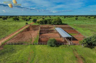 Fazenda à venda, 8700 hectares por r$ 100.000.000 - zona rural - são felix do araguaia/mt
