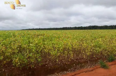 Fazenda à venda, 3800 hectares por r$ 200.000.000 - zona rural - juina/mt