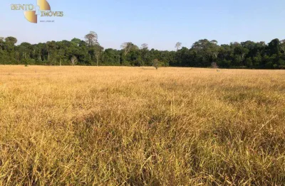 Fazenda à venda, 390,4 hectares por r$ 15.000.000 - zona rural - juina/mt