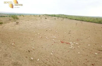 Fazenda à venda, 550 hectares por r$ 18.000.000 - zona rural - novo são joaquim/mt