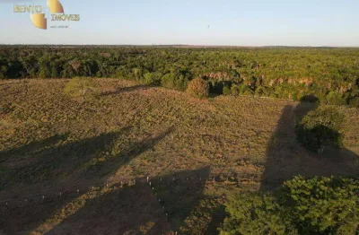 Fazenda à venda, 15230000 m² por r$ 100.000.000,00 - zona rural - marcelândia/mt