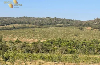 Fazenda à venda, 1307 hectares por r$ 18.000.000 - zona rural - itiquira/mt