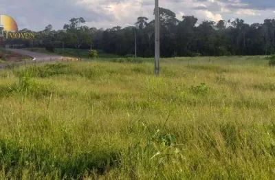 Fazenda à venda, 5000 hectares por r$ 85.000.000 - rural - juruena/mt