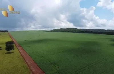 Fazenda à venda, 13497100 m² por r$ 80.000.000,00 - zona rural - primavera do leste/mt
