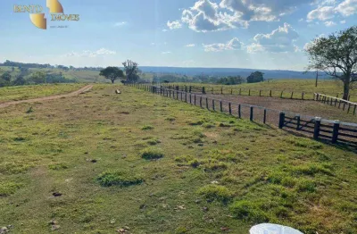 Fazenda à venda, 15730 hectares por r$ 37.000.000 - zona rural - comodoro/mt