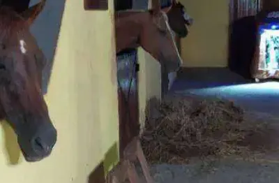 Fazenda à venda, 6470 hectares por r$ 300.000.000 - zona rural - vila bela da santíssima trindade/mt