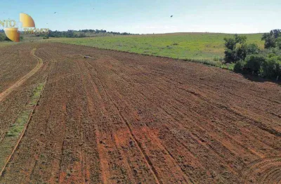 Fazenda à venda, 5510252 m² por r$ 18.000.000,00 - zona rural - tesouro/mt