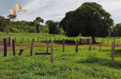 Fazenda à venda, 20570000 m² por r$ 30.000.000,00 - zona rural - tangará da serra/mt