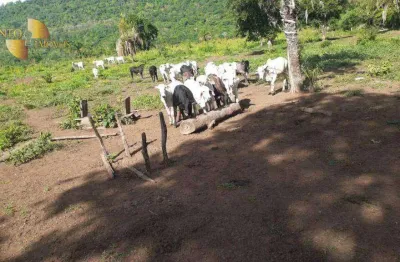Fazenda à venda, 11850000 m² por r$ 19.500.000,00 - zona rural - torixoréu/mt