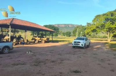 Fazenda à venda, 33620000 m² por r$ 51.000.000,00 - distrito vila aparecida - zona rural - cáceres/mt