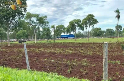 Fazenda à venda, 13350000 m² por r$ 55.000.000,00 - distrito vila aparecida - zona rural - cáceres/mt