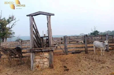 Fazenda à venda, 8920000 m² por r$ 13.500.000,00 - jardim mato grosso - rondonópolis/mt