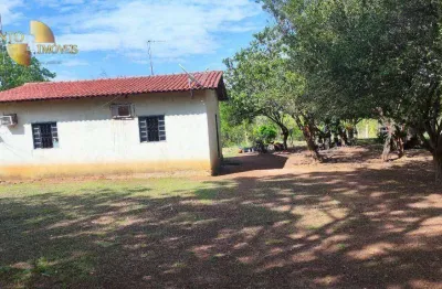 Fazenda à venda, 420000 m² por r$ 1.000.000,00 - zona rural - nossa senhora da guia (cuiabá)/mt - distrito/mt