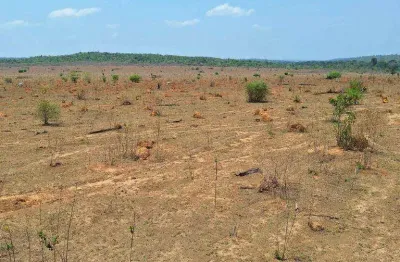 Fazenda à venda, 26610000 m² por r$ 60.000.000,00 - 256 - tesouro/mt