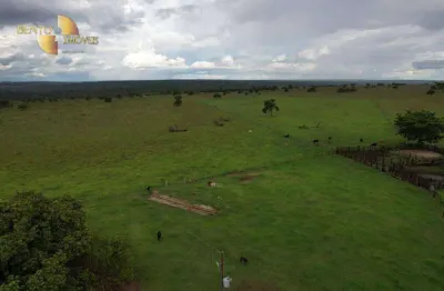 Fazenda à venda, 7000000 m² por r$ 14.000.000,00 - centro - itiquira/mt