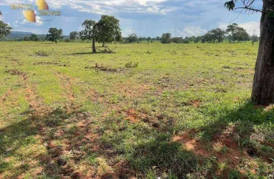 Fazenda à venda, 7300000 m² por r$ 10.000.000,00 - 256 - tesouro/mt