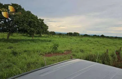 Fazenda à venda, 9750000 m² por r$ 35.000.000,00 - zona rural - jangada/mt