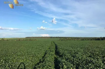 Fazenda à venda, 3080000 m² por r$ 28.000.000,00 - zona rural - itauba/mt