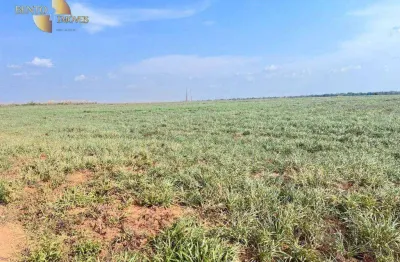 Fazenda à venda, 24000000 m² por r$ 168.000.000,00 - cristo rei - tapurah/mt