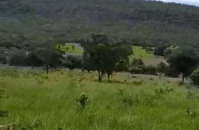 Fazenda à venda, 2640000 m² por r$ 7.500.000,00 - zona rural - cáceres/mt